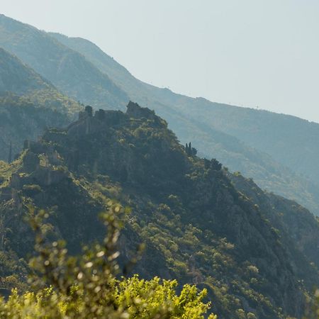 Kotor Sunrise Apartments Экстерьер фото